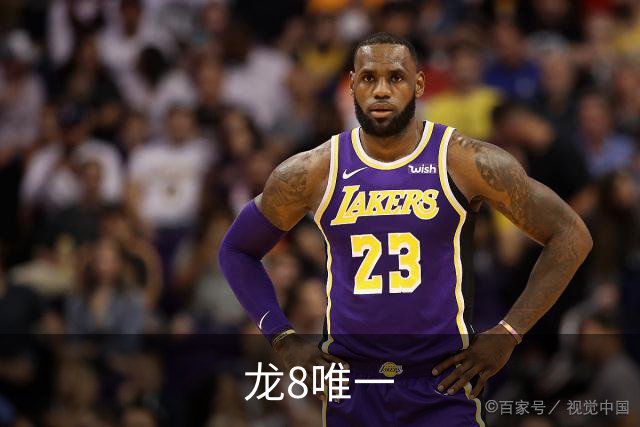 龙8唯一公司介绍图